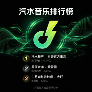 汽水音乐设置页面功能介绍